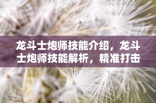 龙斗士炮师技能介绍,龙斗士炮师技能解析,精准打击,火力全开 龙斗士炮师技能介绍,龙斗士炮师技能解析,精准打击,火力全开