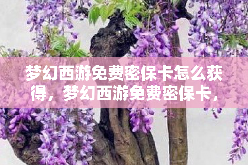 梦幻西游免费密保卡怎么获得，梦幻西游免费密保卡，守护账号安全的新利器