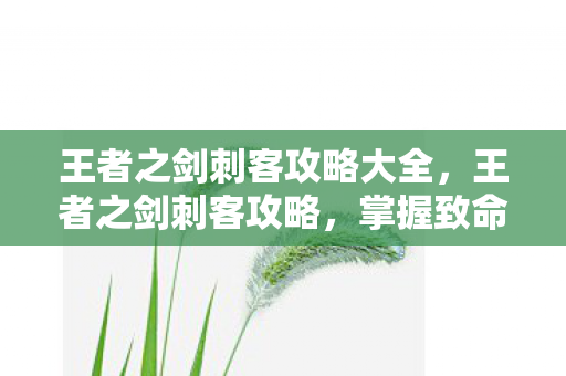 王者之剑刺客攻略大全，王者之剑刺客攻略，掌握致命一击的艺术
