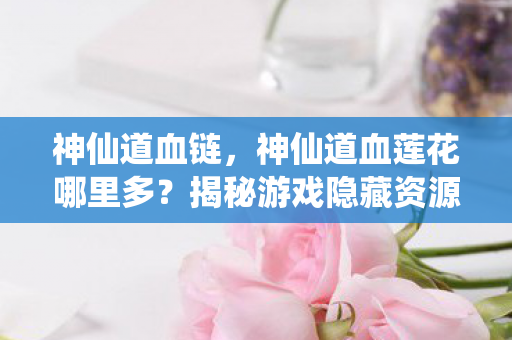 神仙道血链，神仙道血莲花哪里多？揭秘游戏隐藏资源获取攻略