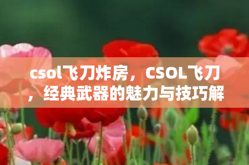 csol飞刀炸房,CSOL飞刀,经典武器的魅力与技巧解析 csol飞刀炸房,CSOL飞刀,经典武器的魅力与技巧解析