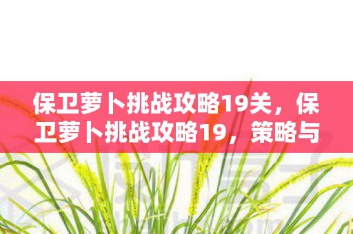 保卫萝卜挑战攻略19关，保卫萝卜挑战攻略19，策略与技巧大揭秘