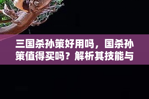 三国杀孙策好用吗，国杀孙策值得买吗？解析其技能与强度