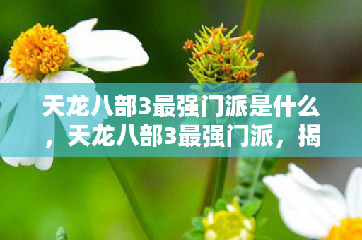 天龙八部3最强门派是什么，天龙八部3最强门派，揭秘神秘门派的无上威力