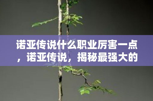 诺亚传说什么职业厉害一点，诺亚传说，揭秘最强大的职业