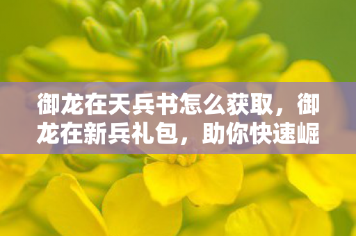 御龙在天兵书怎么获取,御龙在新兵礼包,助你快速崛起,称霸游戏世界 御龙在天兵书怎么获取,御龙在新兵礼包,助你快速崛起,称霸游戏世界