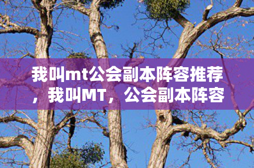 我叫mt公会副本阵容推荐,我叫MT,公会副本阵容全解析 我叫mt公会副本阵容推荐,我叫MT,公会副本阵容全解析