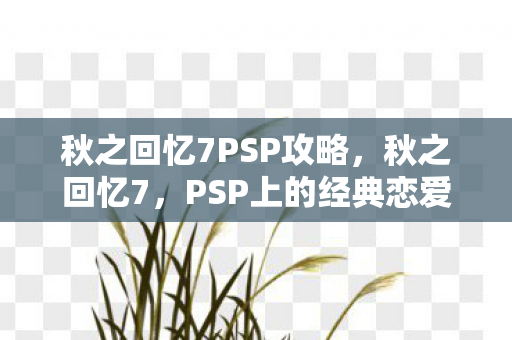 秋之回忆7PSP攻略，秋之回忆7，PSP上的经典恋爱冒险游戏