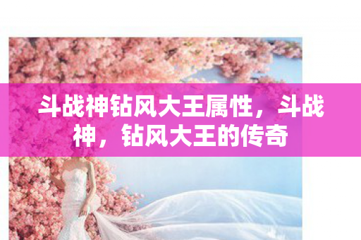 斗战神钻风大王属性,斗战神,钻风大王的传奇 斗战神钻风大王属性,斗战神,钻风大王的传奇