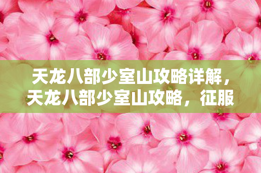 天龙八部少室山攻略详解，天龙八部少室山攻略，征服高峰的秘诀