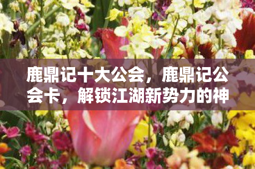 鹿鼎记十大公会，鹿鼎记公会卡，解锁江湖新势力的神秘钥匙