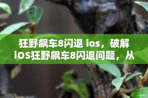 狂野飙车8闪退 ios,破解iOS狂野飙车8闪退问题,从根源到解决方案 狂野飙车8闪退 ios,破解iOS狂野飙车8闪退问题,从根源到解决方案