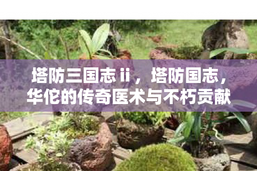 塔防三国志ⅱ,塔防国志,华佗的传奇医术与不朽贡献 塔防三国志ⅱ,塔防国志,华佗的传奇医术与不朽贡献