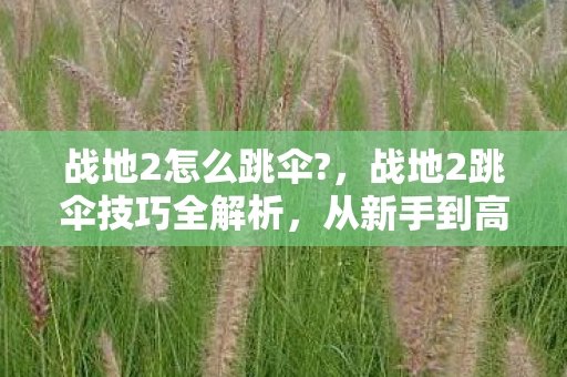 战地2怎么跳伞?,战地2跳伞技巧全解析,从新手到高手的飞跃 战地2怎么跳伞?,战地2跳伞技巧全解析,从新手到高手的飞跃