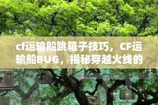 cf运输船跳箱子技巧，CF运输船BUG，揭秘穿越火线的隐藏秘密