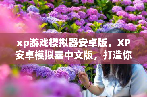 xp游戏模拟器安卓版，XP安卓模拟器中文版，打造你的移动应用新体验