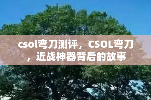csol弯刀测评，CSOL弯刀，近战神器背后的故事