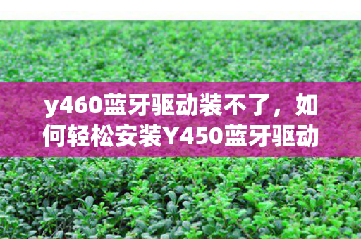 y460蓝牙驱动装不了,如何轻松安装Y450蓝牙驱动,让设备无缝连接 y460蓝牙驱动装不了,如何轻松安装Y450蓝牙驱动,让设备无缝连接