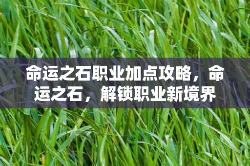 命运之石职业加点攻略,命运之石,解锁职业新境界 命运之石职业加点攻略,命运之石,解锁职业新境界