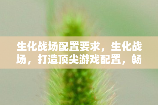 生化战场配置要求,生化战场,打造顶尖游戏配置,畅享未来战争 生化战场配置要求,生化战场,打造顶尖游戏配置,畅享未来战争