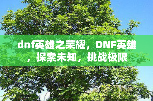 dnf英雄之荣耀,DNF英雄,探索未知,挑战极限 dnf英雄之荣耀,DNF英雄,探索未知,挑战极限