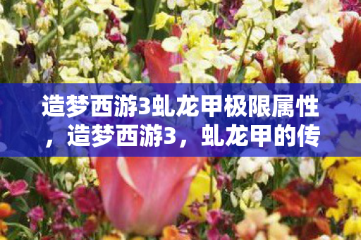 造梦西游3虬龙甲极限属性,造梦西游3,虬龙甲的传奇故事 造梦西游3虬龙甲极限属性,造梦西游3,虬龙甲的传奇故事