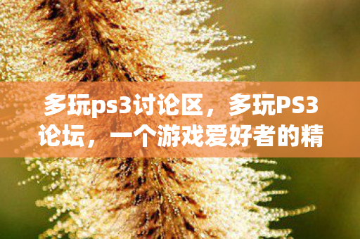 多玩ps3讨论区,多玩PS3论坛,一个游戏爱好者的精神家园 多玩ps3讨论区,多玩PS3论坛,一个游戏爱好者的精神家园