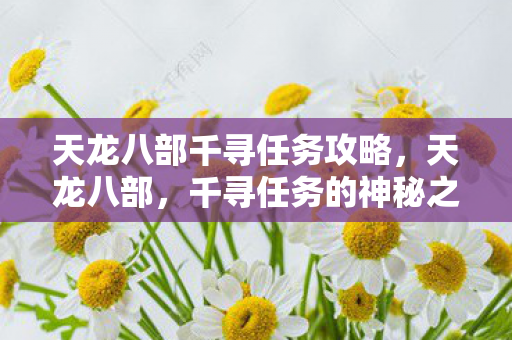 天龙八部千寻任务攻略，天龙八部，千寻任务的神秘之旅