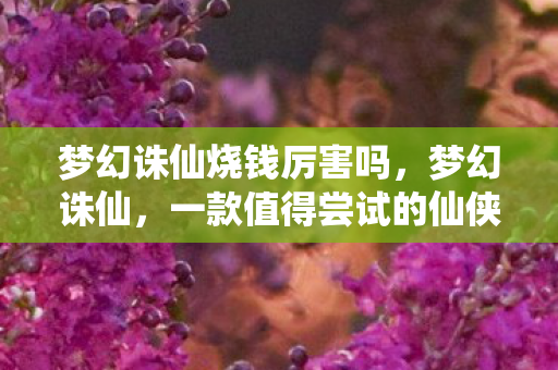 梦幻诛仙烧钱厉害吗，梦幻诛仙，一款值得尝试的仙侠手游