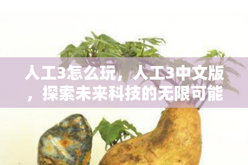 人工3怎么玩，人工3中文版，探索未来科技的无限可能