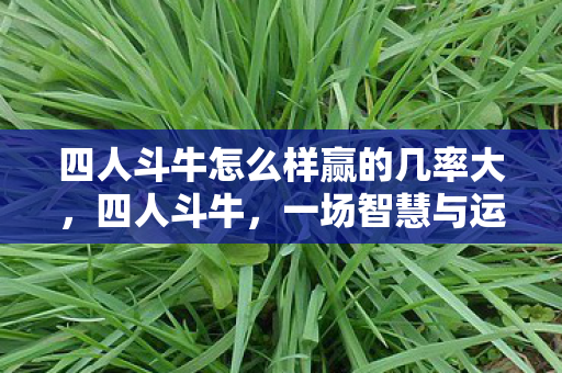 四人斗牛怎么样赢的几率大，四人斗牛，一场智慧与运气的较量