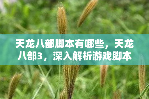 天龙八部脚本有哪些，天龙八部3，深入解析游戏脚本的魅力与挑战