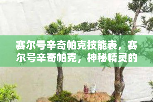 赛尔号辛奇帕克技能表,赛尔号辛奇帕克,神秘精灵的传奇之旅 赛尔号辛奇帕克技能表,赛尔号辛奇帕克,神秘精灵的传奇之旅