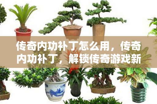 传奇内功补丁怎么用,传奇内功补丁,解锁传奇游戏新境界 传奇内功补丁怎么用,传奇内功补丁,解锁传奇游戏新境界