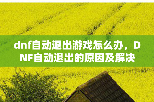 dnf自动退出游戏怎么办,DNF自动退出的原因及解决方法 dnf自动退出游戏怎么办,DNF自动退出的原因及解决方法