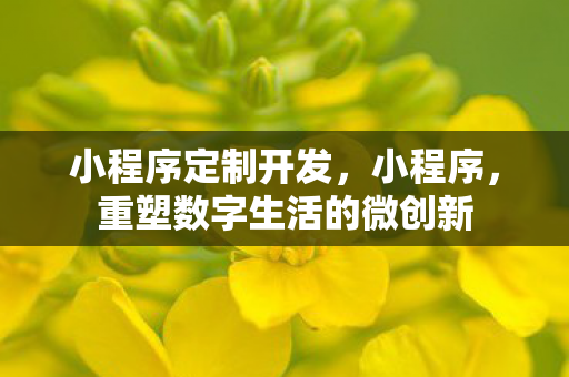小程序定制开发，小程序，重塑数字生活的微创新