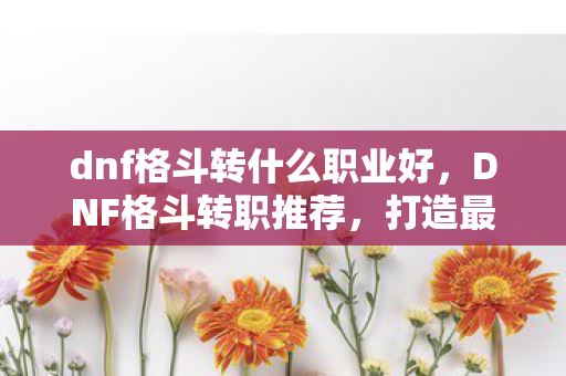 dnf格斗转什么职业好，DNF格斗转职推荐，打造最强战斗力的职业选择