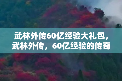 武林外传60亿经验大礼包，武林外传，60亿经验的传奇之旅