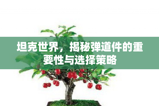 坦克世界，揭秘弹道件的重要性与选择策略