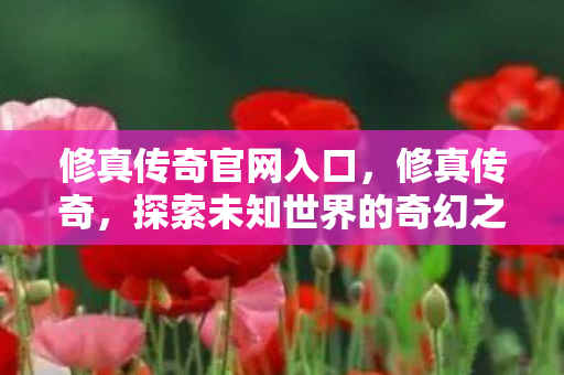 修真传奇官网入口，修真传奇，探索未知世界的奇幻之旅