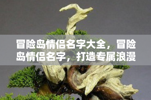 冒险岛情侣名字大全，冒险岛情侣名字，打造专属浪漫