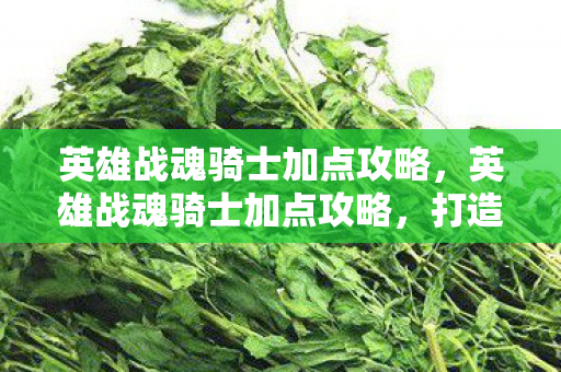 英雄战魂骑士加点攻略,英雄战魂骑士加点攻略,打造最强骑士的秘诀 英雄战魂骑士加点攻略,英雄战魂骑士加点攻略,打造最强骑士的秘诀