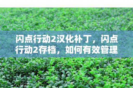 闪点行动2汉化补丁,闪点行动2存档,如何有效管理和备份你的游戏进度 闪点行动2汉化补丁,闪点行动2存档,如何有效管理和备份你的游戏进度