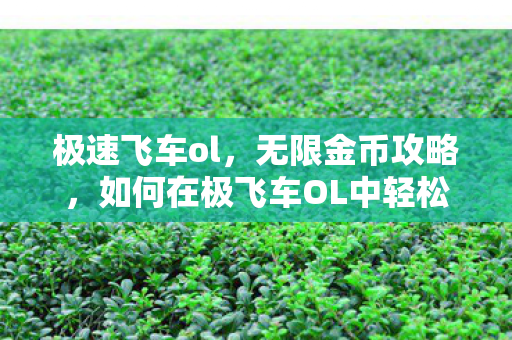 极速飞车ol，无限金币攻略，如何在极飞车OL中轻松获取金币