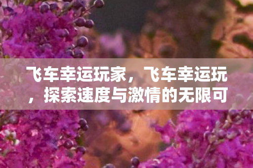 飞车幸运玩家,飞车幸运玩,探索速度与激情的无限可能 飞车幸运玩家,飞车幸运玩,探索速度与激情的无限可能