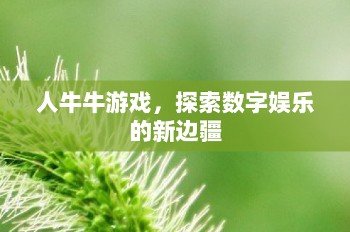 人牛牛游戏，探索数字娱乐的新边疆