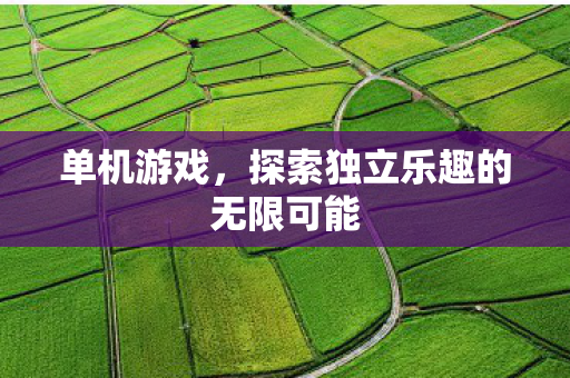 单机游戏，探索独立乐趣的无限可能