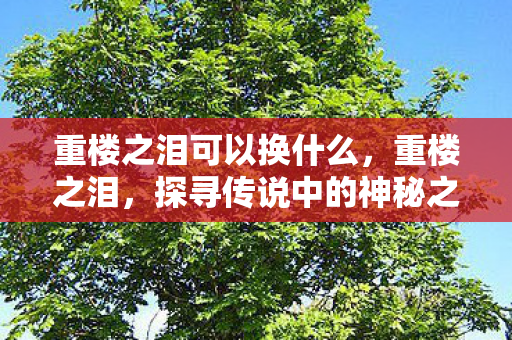重楼之泪可以换什么，重楼之泪，探寻传说中的神秘之物