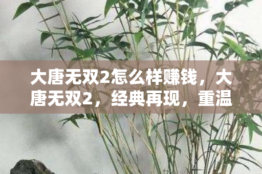 大唐无双2怎么样赚钱，大唐无双2，经典再现，重温那段热血江湖