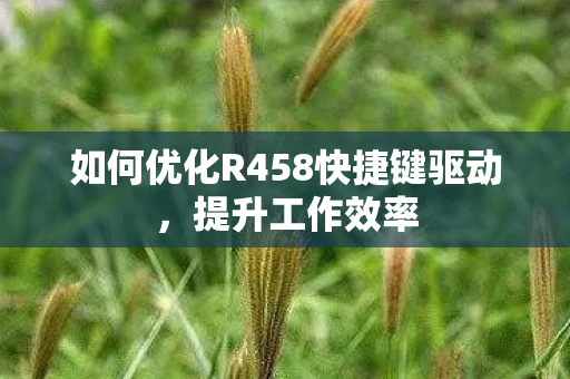 如何优化R458快捷键驱动，提升工作效率